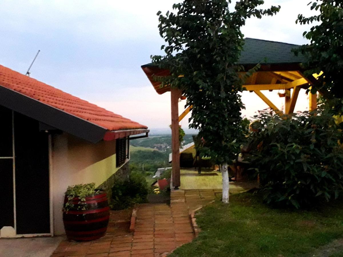 Apartment Noletov Vidikovac 维尔蒂尼克 外观 照片
