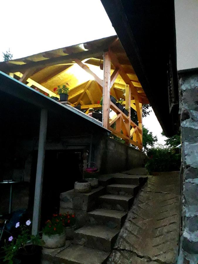 Apartment Noletov Vidikovac 维尔蒂尼克 外观 照片