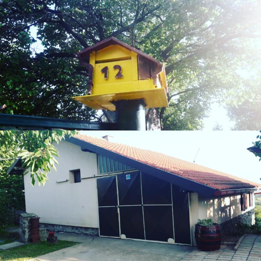 Apartment Noletov Vidikovac 维尔蒂尼克 外观 照片