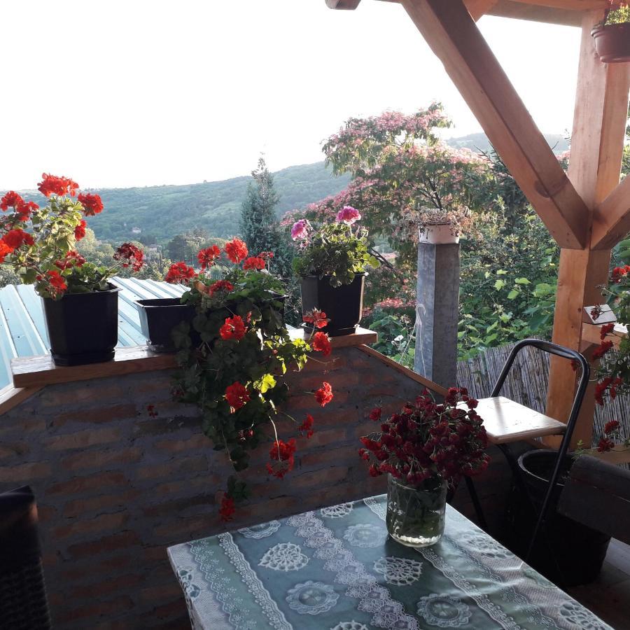Apartment Noletov Vidikovac 维尔蒂尼克 外观 照片