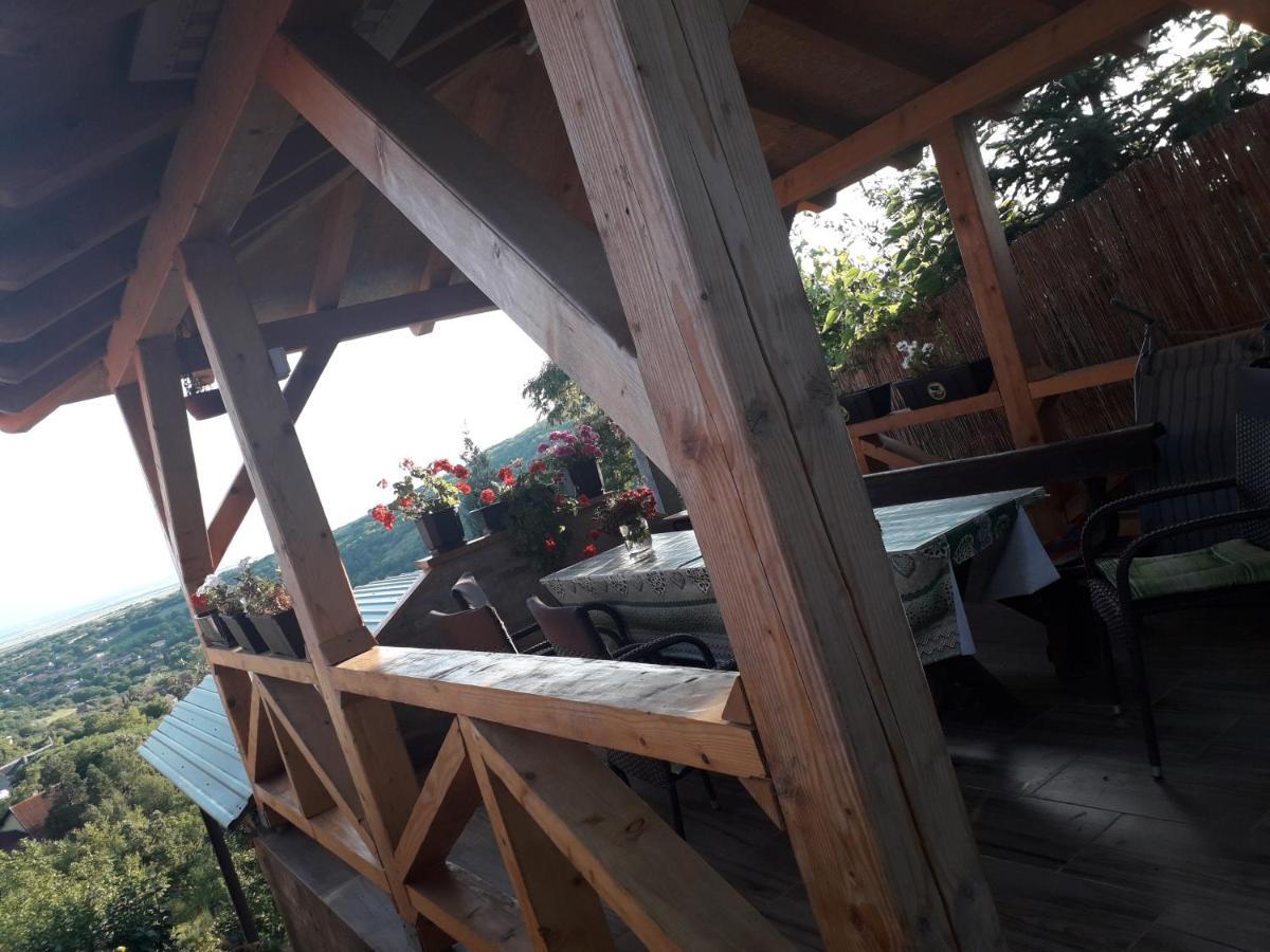 Apartment Noletov Vidikovac 维尔蒂尼克 外观 照片