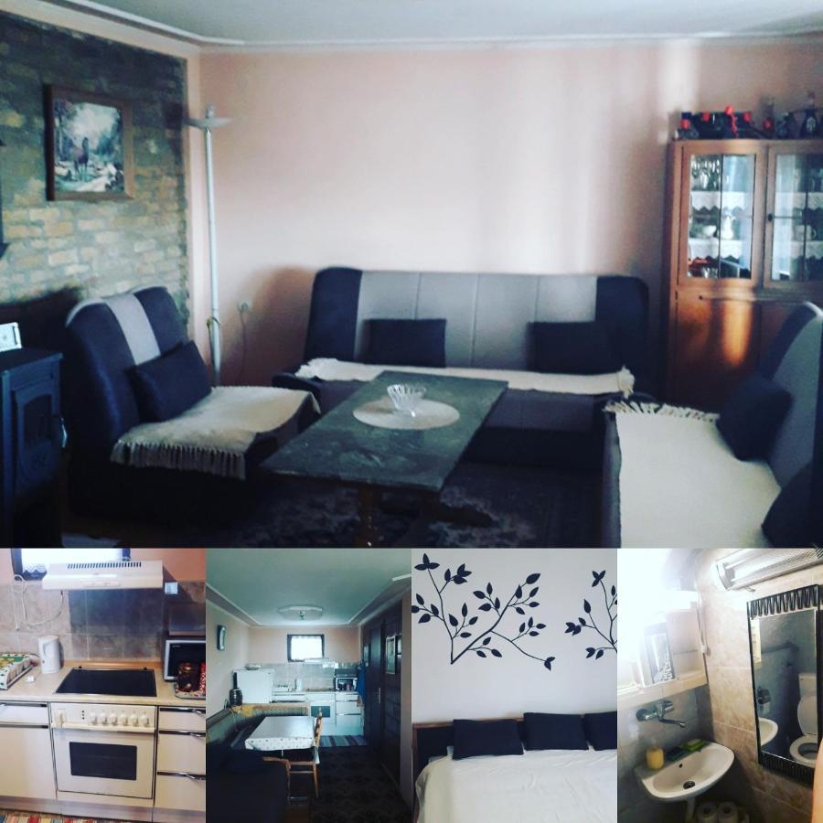 Apartment Noletov Vidikovac 维尔蒂尼克 外观 照片