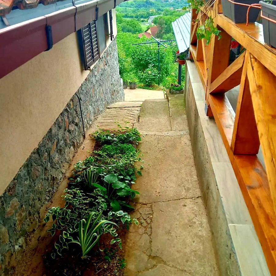 Apartment Noletov Vidikovac 维尔蒂尼克 外观 照片