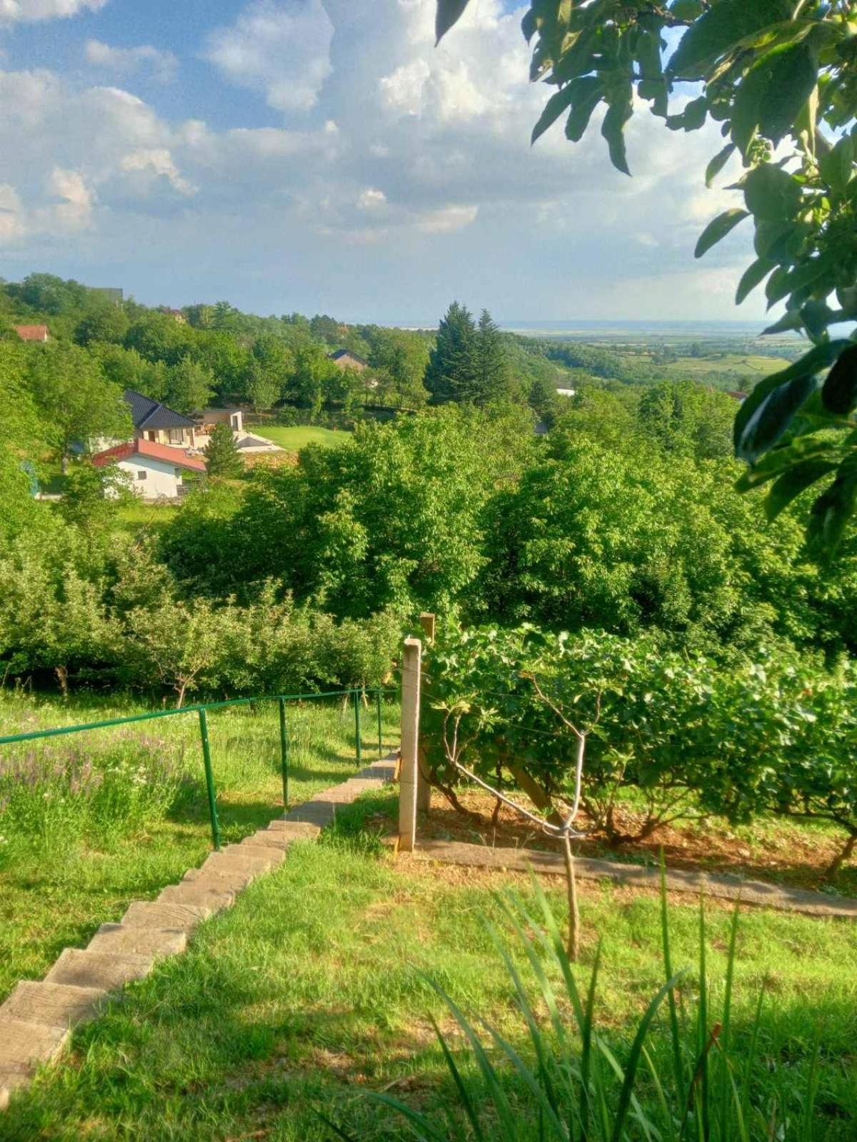 Apartment Noletov Vidikovac 维尔蒂尼克 外观 照片