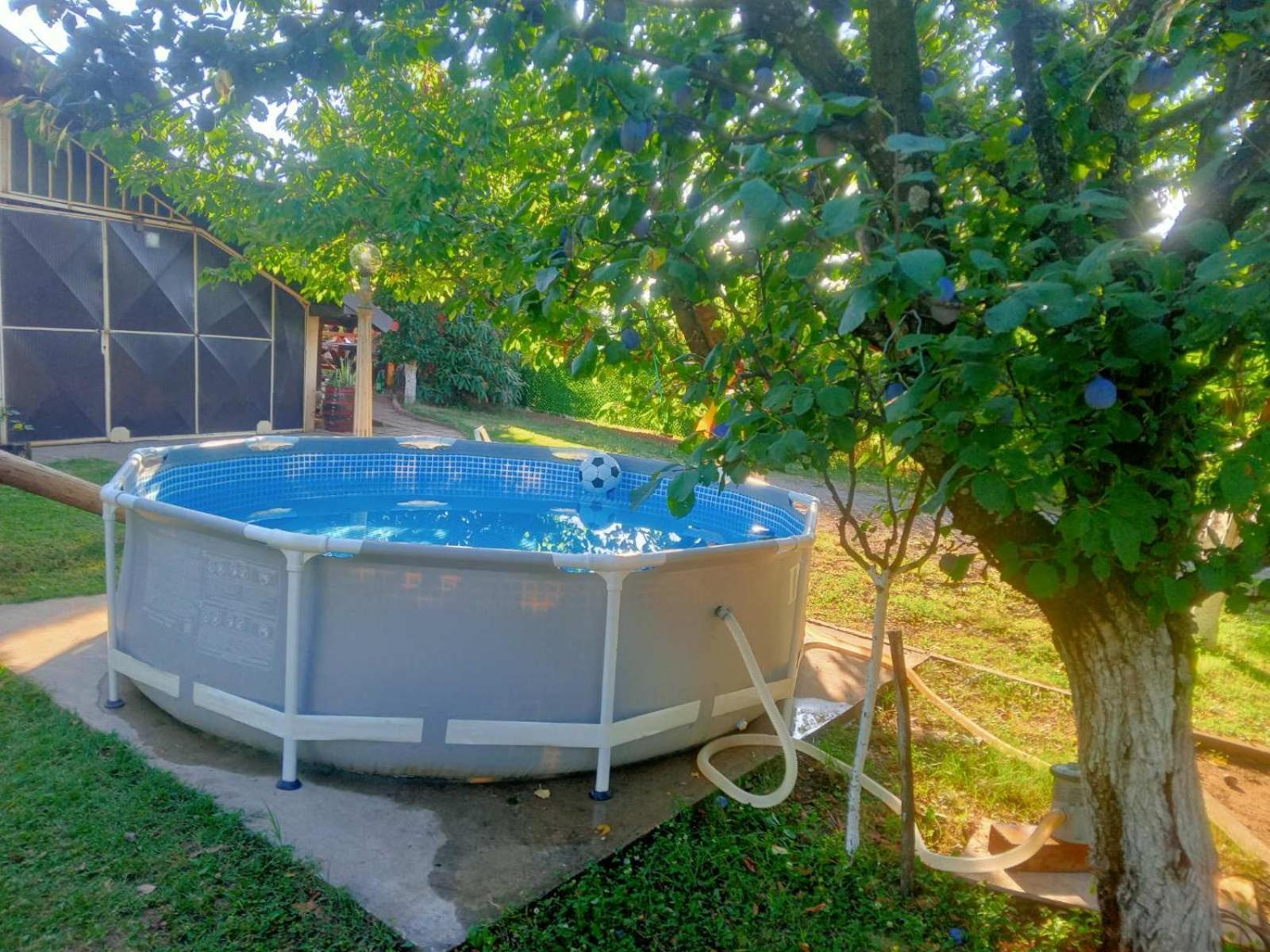 Apartment Noletov Vidikovac 维尔蒂尼克 外观 照片