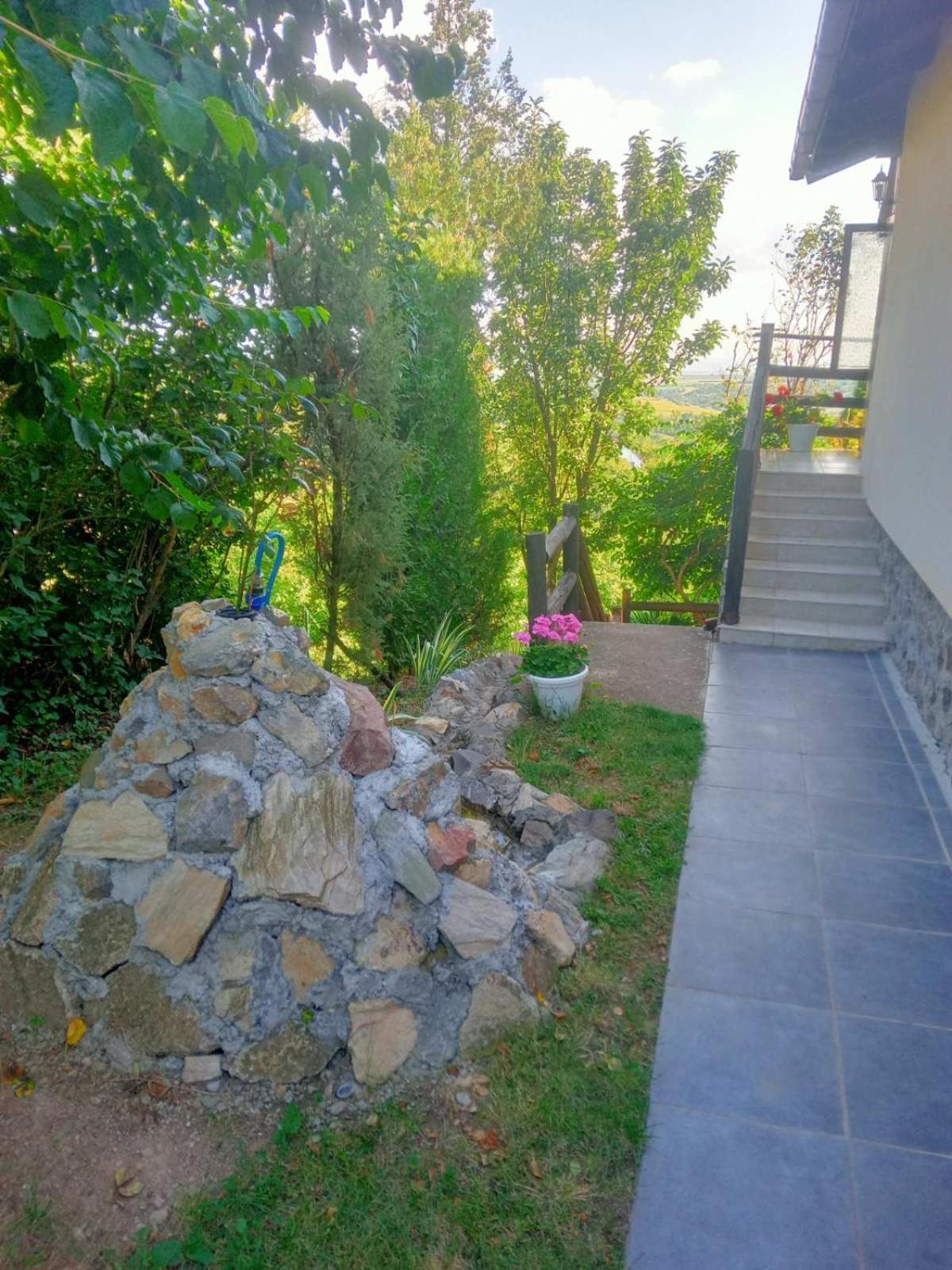 Apartment Noletov Vidikovac 维尔蒂尼克 外观 照片