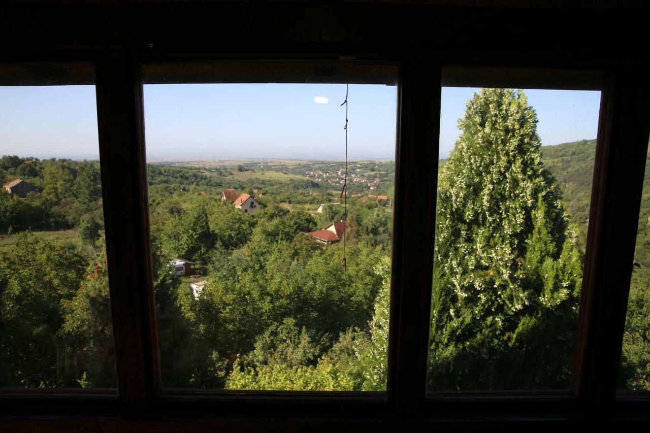 Apartment Noletov Vidikovac 维尔蒂尼克 外观 照片
