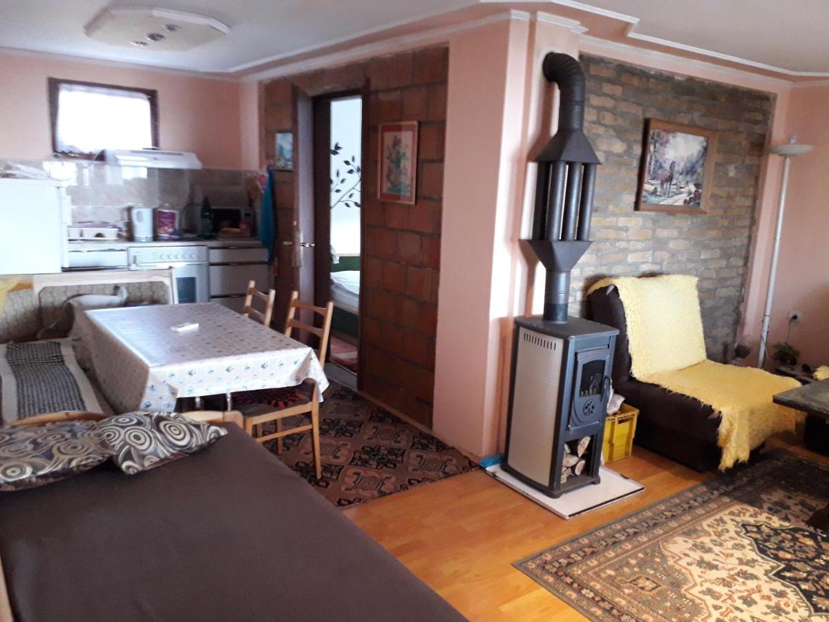 Apartment Noletov Vidikovac 维尔蒂尼克 外观 照片