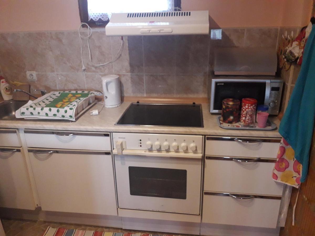 Apartment Noletov Vidikovac 维尔蒂尼克 外观 照片