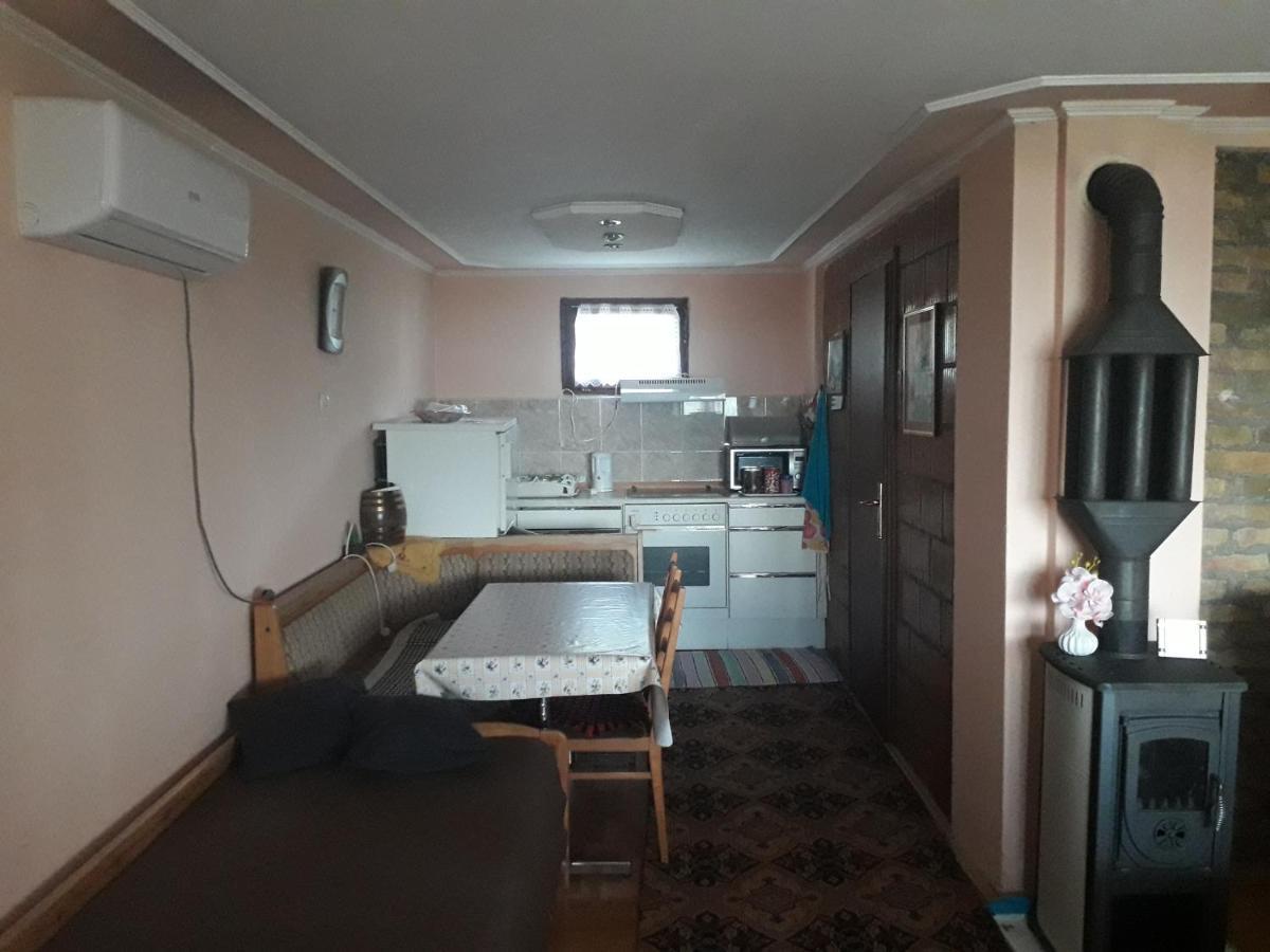 Apartment Noletov Vidikovac 维尔蒂尼克 外观 照片