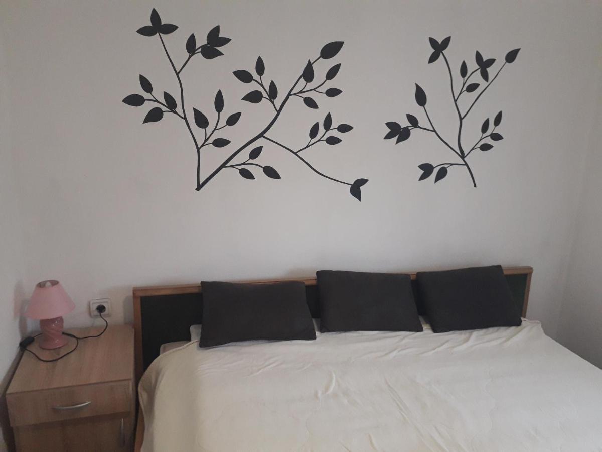 Apartment Noletov Vidikovac 维尔蒂尼克 外观 照片